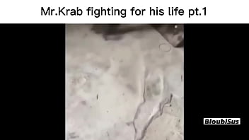Top 5 dangerous Mr.Krabs